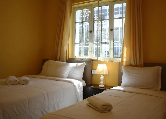 Casa de huéspedes: Lion Backpackers