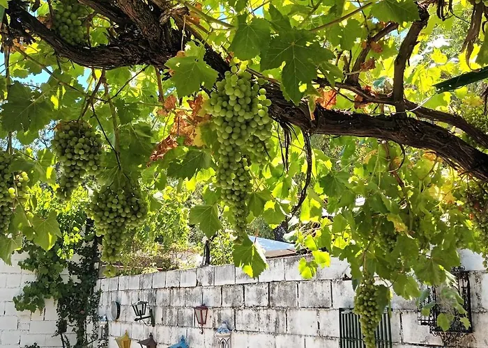 Chalet: La Parra de Pepa