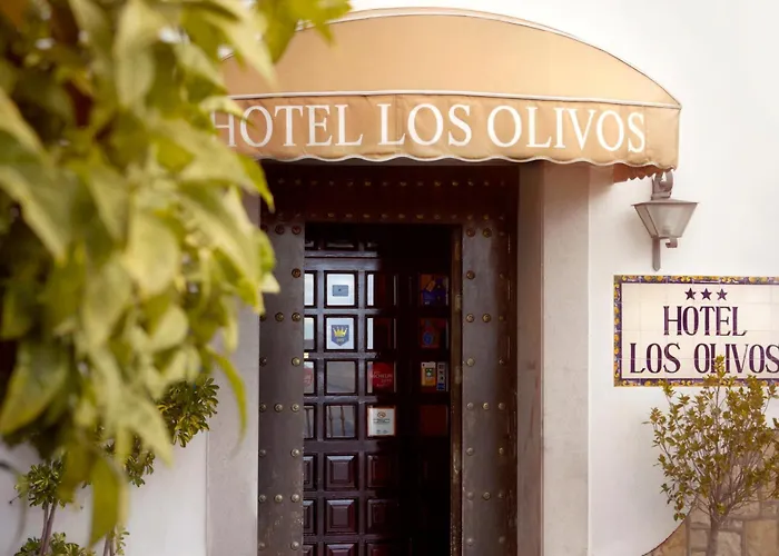 Hotel de 3 estrellas: Hotel Los Olivos