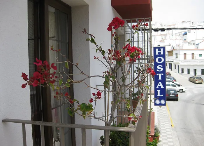 Hotel barato: Hostal Palomares