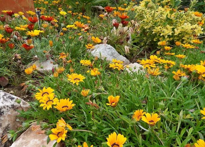 Hotel con piscina: Bed&Breakfast | Guest House Casa Don Carlos