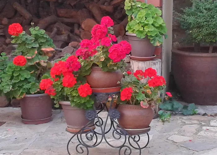 La Posada de Clotilde