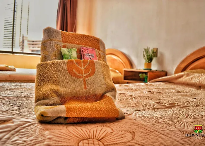 Albergue: Downtown Hotel