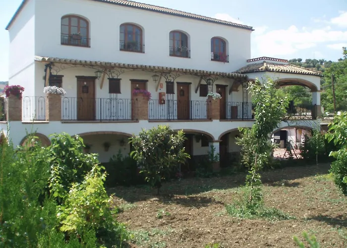 Hotel barato: Hotel Enrique Calvillo