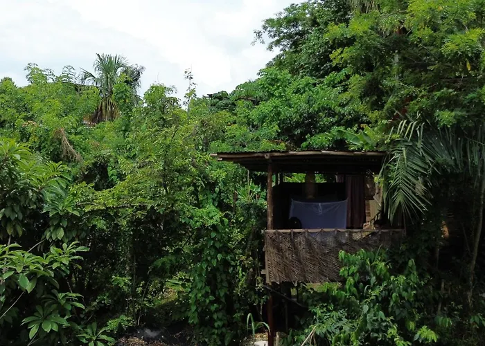 The Valley Tayrona Hostel- A Social Jungle Hostel