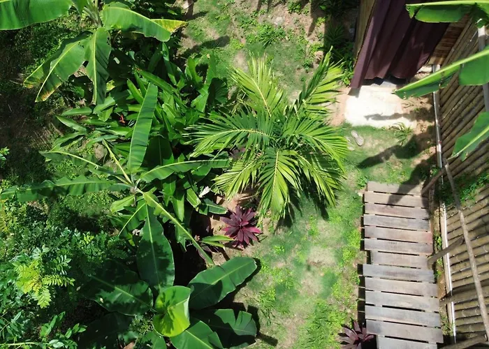 The Valley Tayrona Hostel- A Social Jungle Hostel