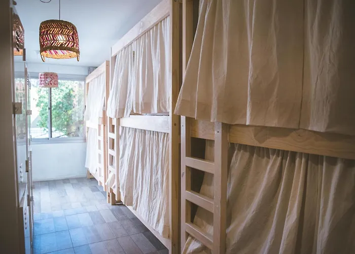 Albergue: Fuxia Jungle Hostel