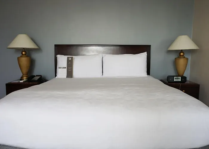 Hoteles que admiten perros en Caracas 