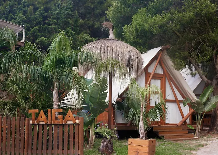 Taiga Tarifa Punta Paloma