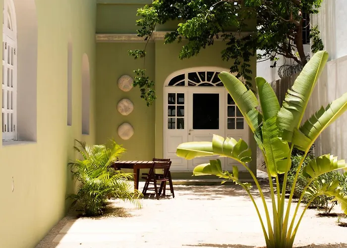  ConSentido Tamarindo