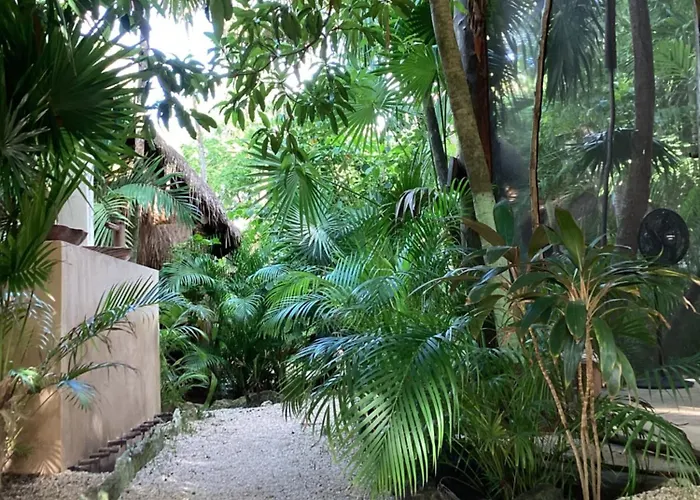Yaxchen Tulum Cabañas&Cenote