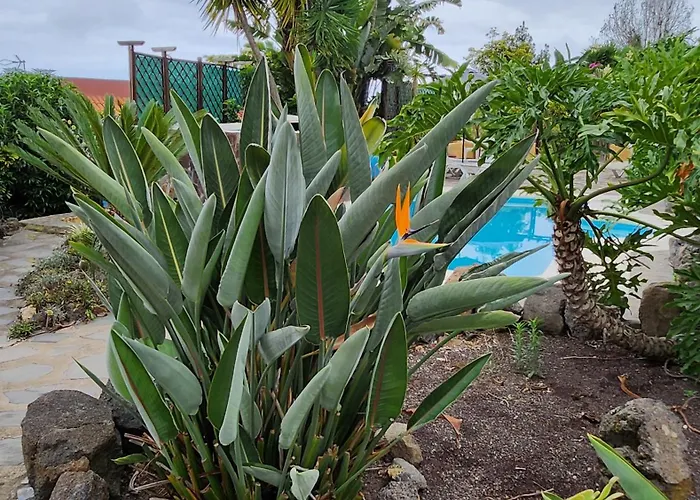 Oasis Hill Botanical Garden