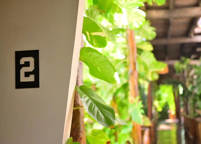 Hotel de 4 estrellas: Casa Teka - Boutique Hotel & Cenote