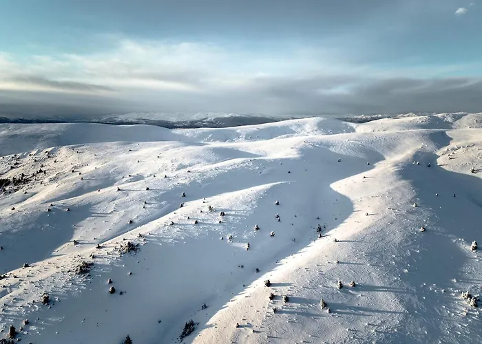 Apartaments Piteus Casa Dionis