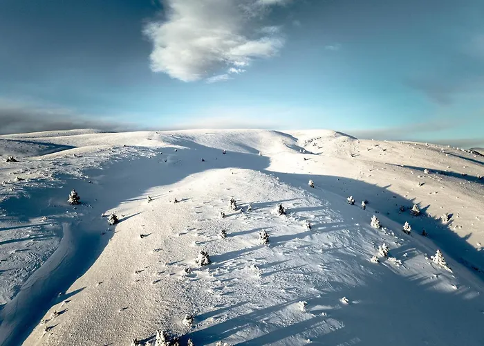 Apartaments Piteus Casa Dionis