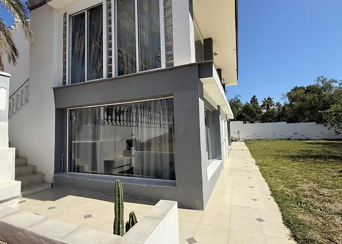 Kiwidestiny Alicante