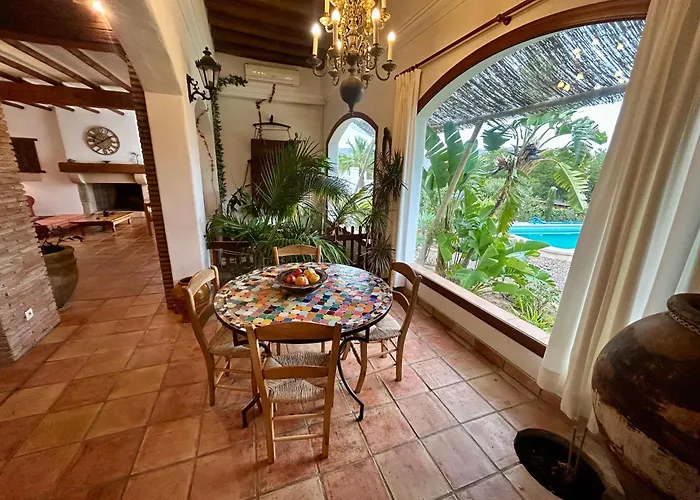 Alquiler de vacaciones: La Washingtonia