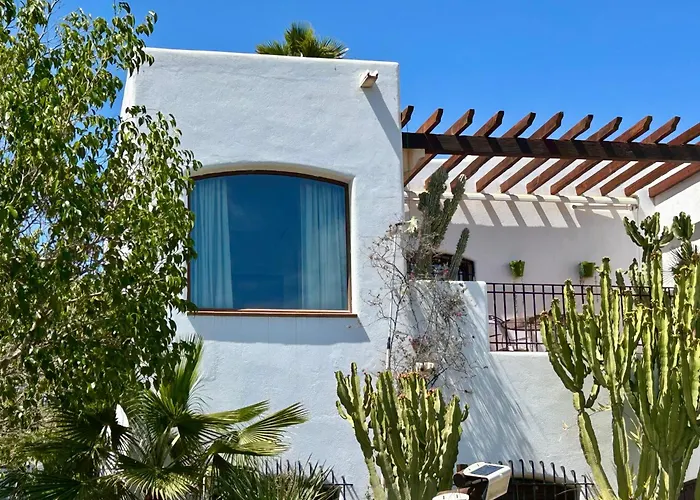 Alquiler de vacaciones: La Washingtonia