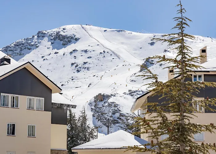 Hotel cerca del colegio: BiBo Suites Sierra Nevada