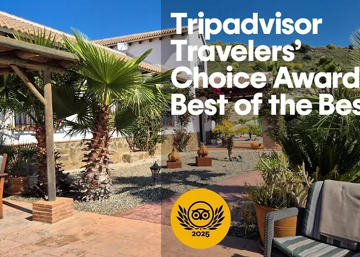 Hotel con piscina: Bed&Breakfast | Guest House Casa Don Carlos