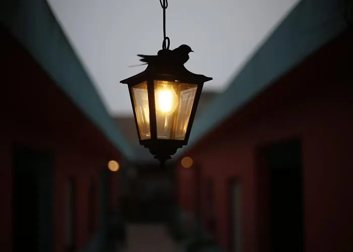 Carrusel Art-Hostel