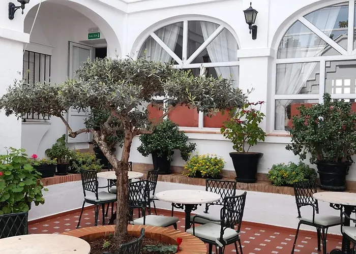 Hotel de 3 estrellas: Hotel Los Olivos
