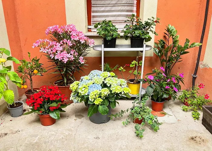 Hotel cerca del colegio: Balazs Guesthouse - In A Green Area, With Our Own Garden - Next To Metro 4 Station