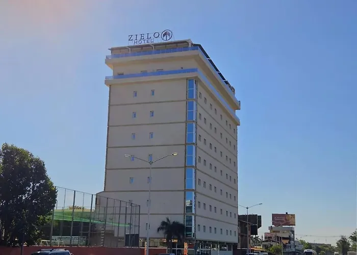 Zielo
