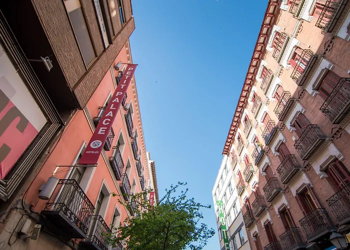 Hotel de 5 estrellas: Petit Palace Tres Cruces