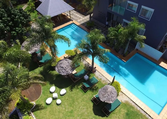 Coconut Palms Vanuatu