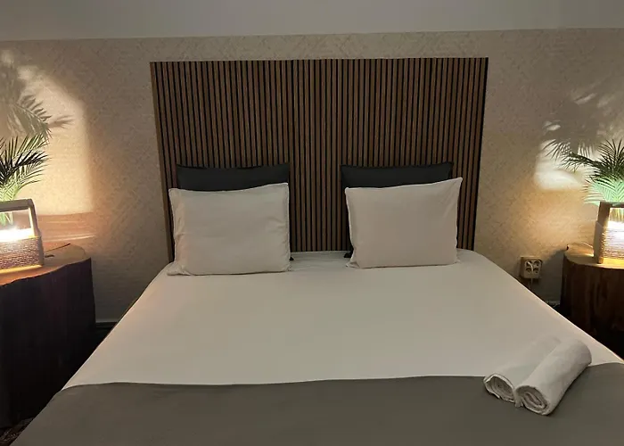 Albergue: Cactus Host