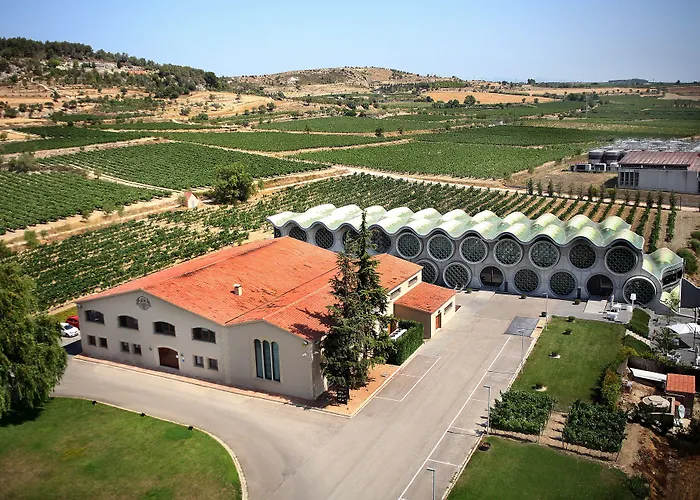 Hotel: Mastinell Cava & Boutique Hotel By Olivia Hotels Collection