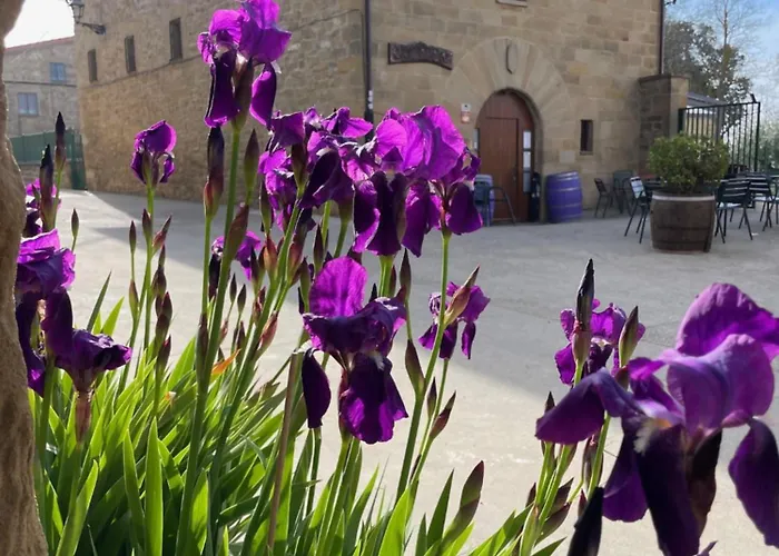 Villa privada: La Posada de Leza