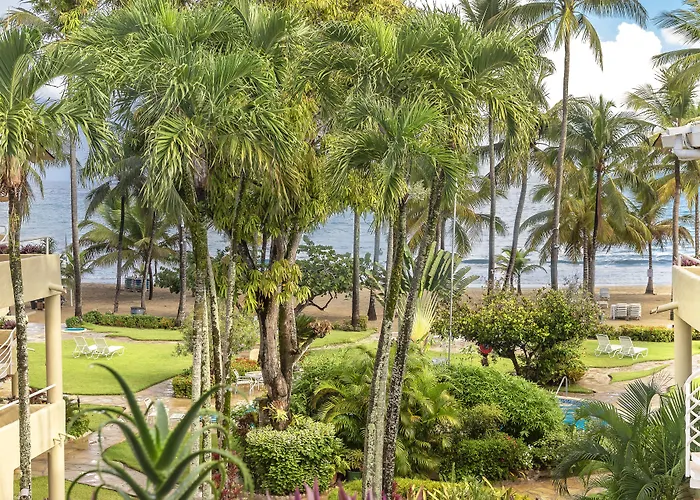 Hotel céntrico: Cabarete Palm Beach Condos