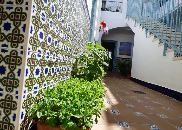 Campo Nuevo