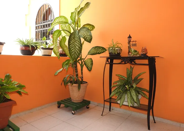 Casa Mallorca