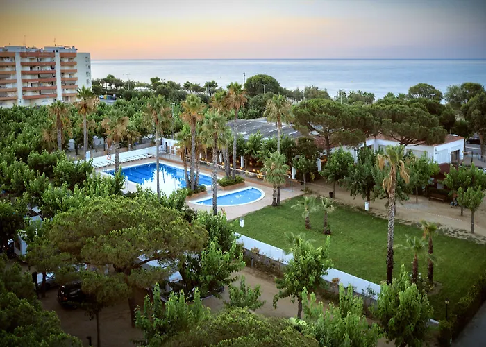 Camping: Camping Bellsol