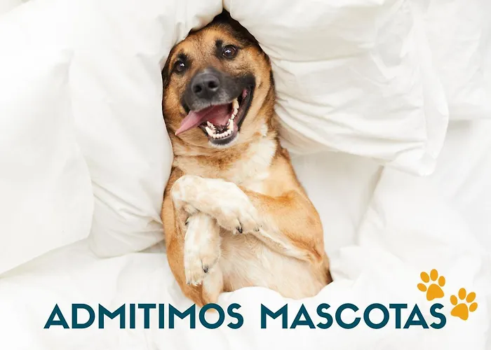 Apartaments Turistics Natural Suites Manzano 3000