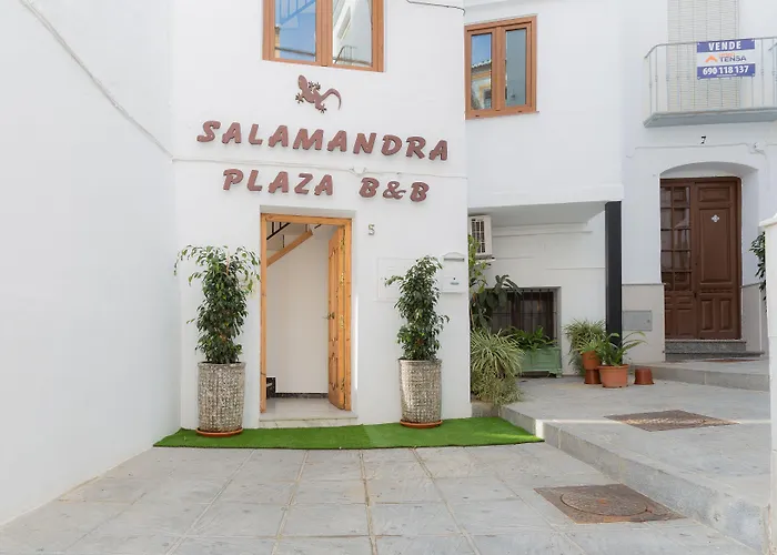 Hotel: Salamandra Plaza