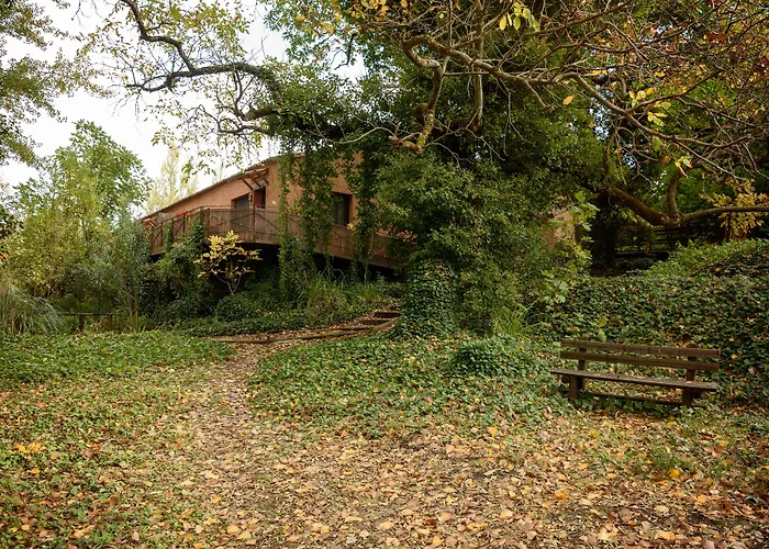 Cabina: Molinos de Fuenteheridos
