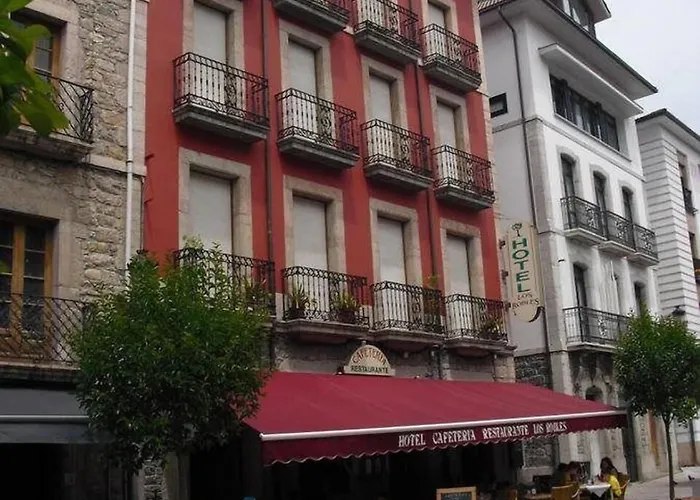 Hotel: Hotel Los Robles