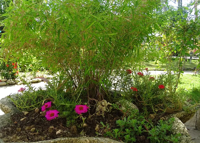 Hotel céntrico: Albatros