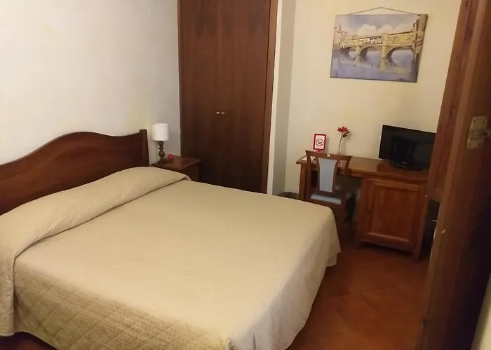 Hotel: Hotel Bologna