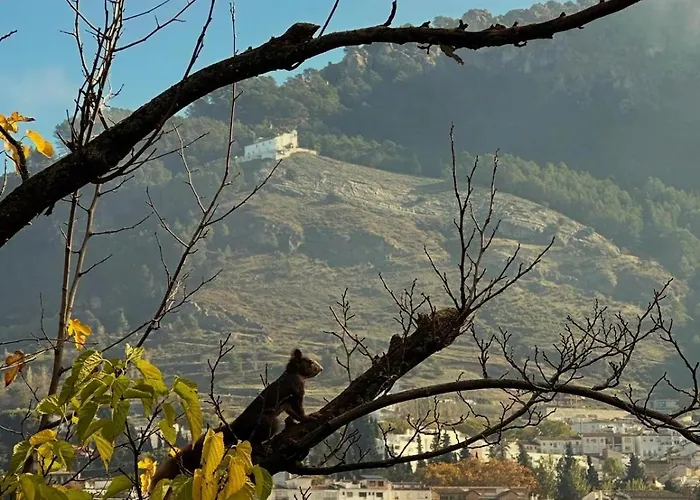 Hotel con piscina: Casa De Madera Zumacar V