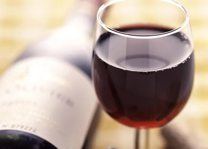 Ibis Geneve Centre Gare