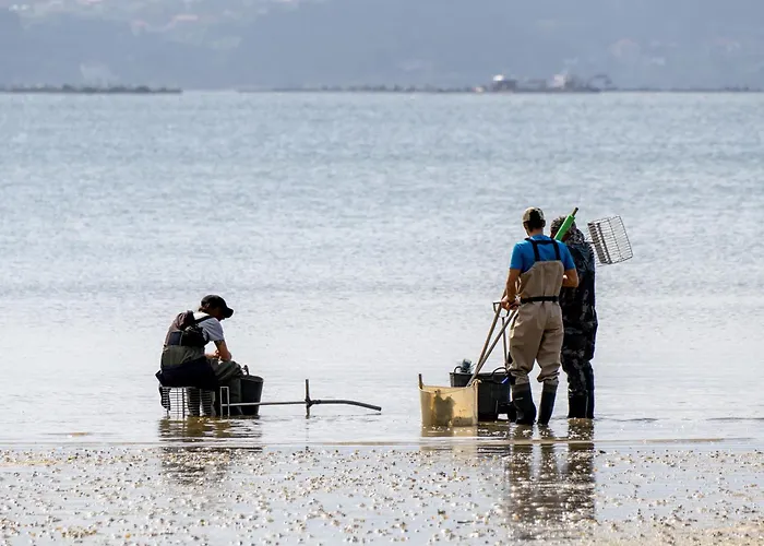 Hotel La Noyesa *** Superior