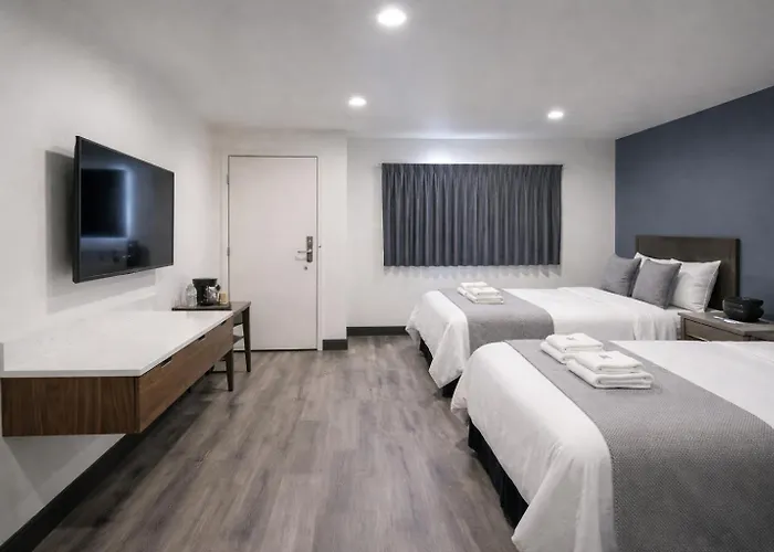 Motel: Motel Moonlight