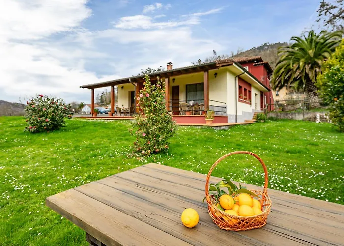 Apartamentos Les Cuartes