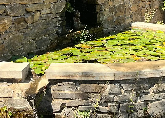  Casa Arbolitos Rooms&Garden