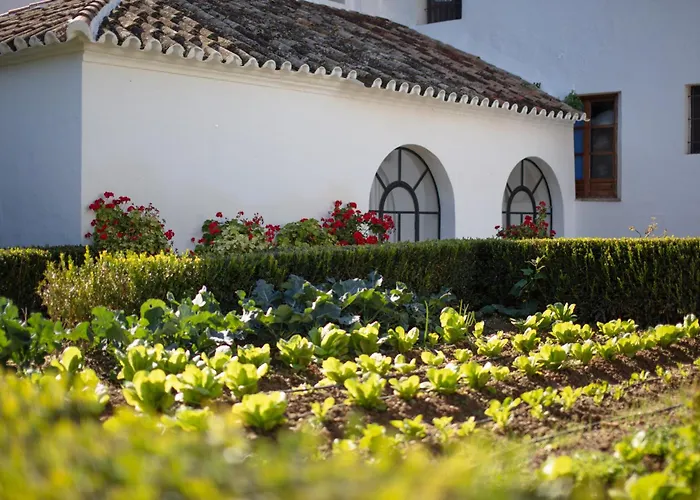 Monasterio De San Francisco